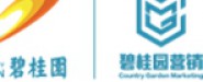 碧桂园（长沙威尼斯城房地产开发有限公司）