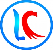 东莞领丰电子有限公司