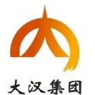 大汉控股集团有限公司
