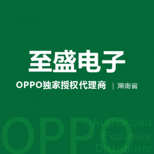 长沙至盛电子科技有限公司