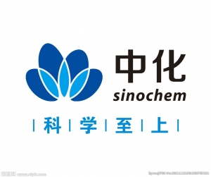 中蓝新材料