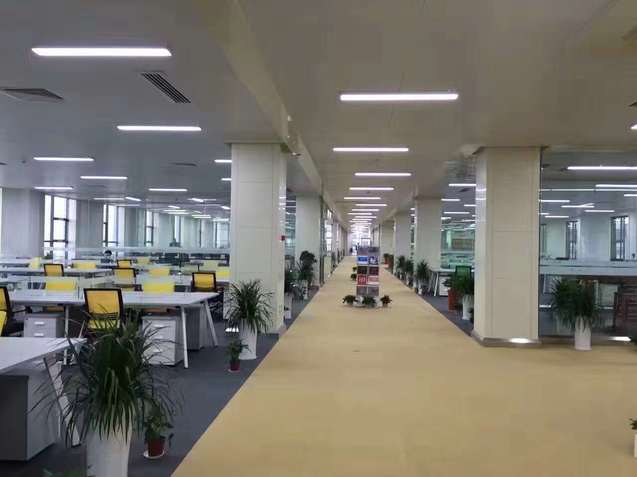 aeda7439697a1cb5f0c389b3af1e2c2.jpg