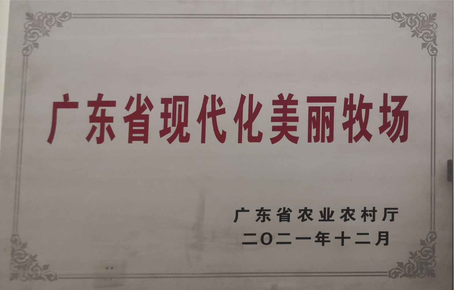 广东省现代化美丽牧场.png 广东省现代化美丽牧场.png