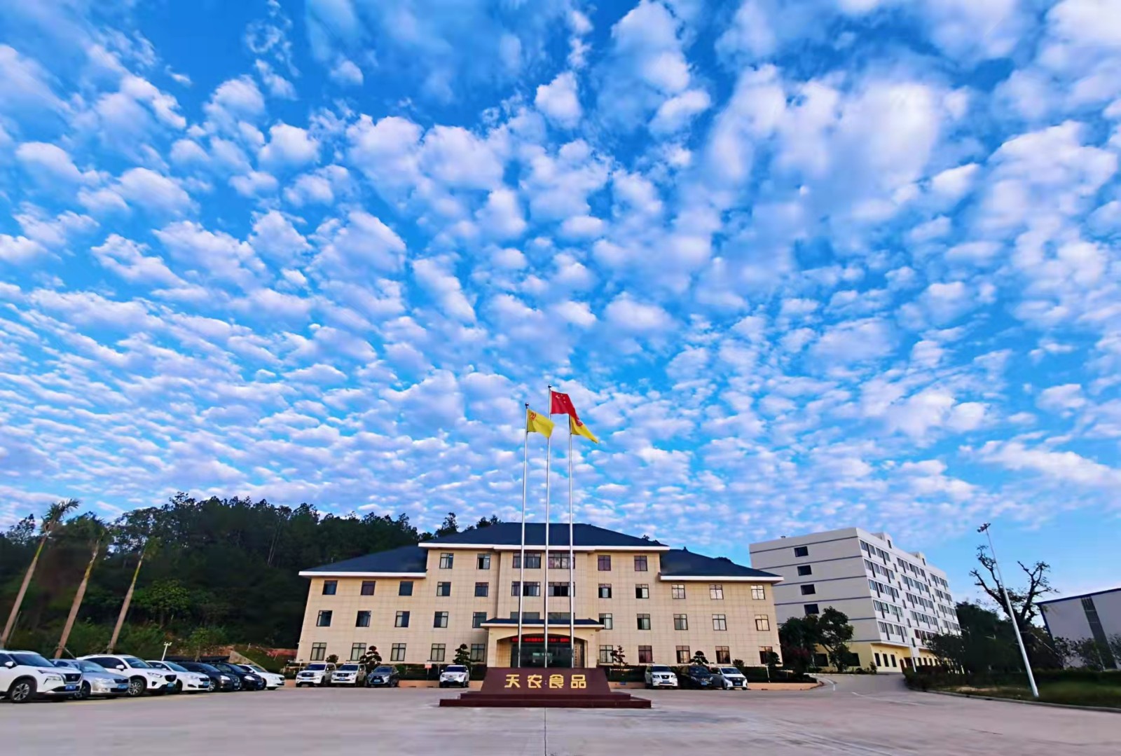 集团总部图片（白云）.jpg